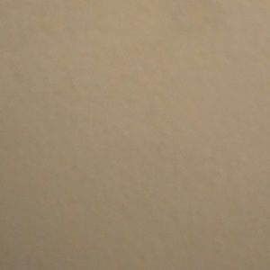 Meet your Posher, King